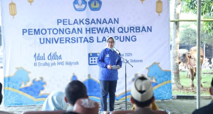 Unila Kurban 32 Sapi dan 17 Kambing Rayakan Idul Adha 1445 Hijriyah