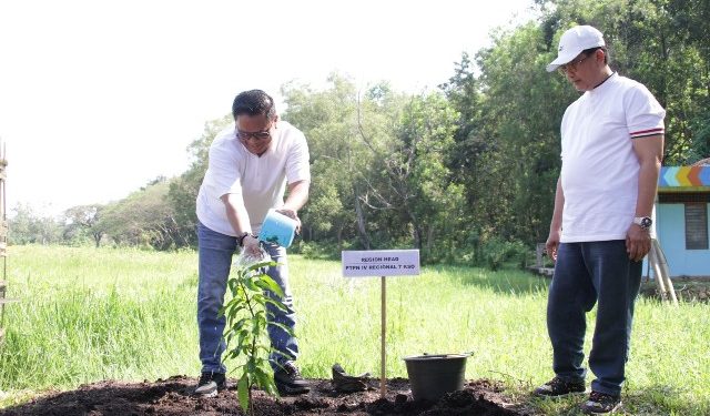Hari Lingkungan Hidup Sedunia, PTPN IV KSO Regional 7 Tanam Pohon dan Tebar Ikan di Bekri