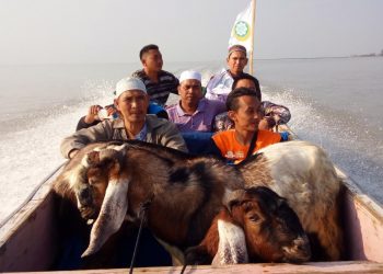 Dewan Dakwah Lampung Sebar Ratusan Hewan Qurban dan Khotib Idul Adha