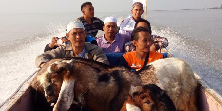 Dewan Dakwah Lampung Sebar Ratusan Hewan Qurban dan Khotib Idul Adha