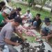 PTPN I dan KSO PTPN IV Reg.7 Potong 153 Hewan Kurban