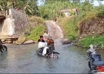 Jembatan Bambu Rusak Parah, Warga Pekon Kedaung Terpaksa Menyeberangi Sungai