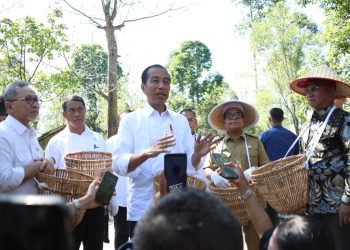 Perkuat Komoditas Kopi, Presiden Jokowi Tinjau Perkebunan Kopi di Desa Kambahang Lampung Barat