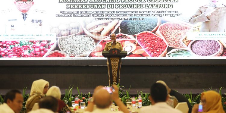 Pj. Gubernur Samsudin Buka Temu Bisnis Produk Perkebunan