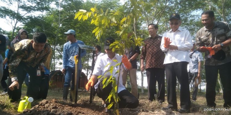 Waka BRIN: Itera Menjadi Leading Sector Pengembangan Kebun Raya