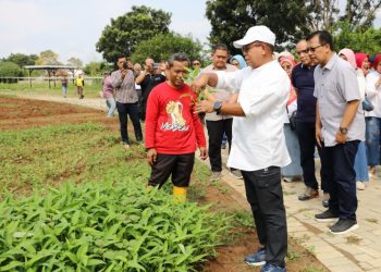 Pj. Gubernur Samsudin Ajak Masyarakat Ramaikan Wisata Edukasi Kebun PKK Agropark Sabah Balau