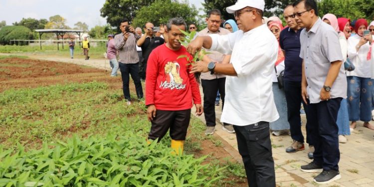 Pj. Gubernur Samsudin Ajak Masyarakat Ramaikan Wisata Edukasi Kebun PKK Agropark Sabah Balau
