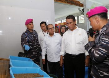 Pj. Gubernur Samsudin Dampingi Mentan Andi Amran Tinjau Program Ketahanan Pangan di Mako Brigif 4