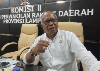 Wakil Ketua Komisi II DPRD Provinsi Lampung Sesalkan DAK Tidak Teralisasi