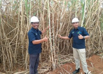 PTPN I Regional 7 Mengejar Rendemen Tebu sampai ke Tulungbuyut