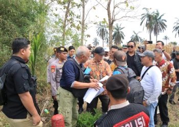 PN Kalianda Laksanakan Konstatering Lahan PTPN I Reg.7 di Kebun Rejosari
