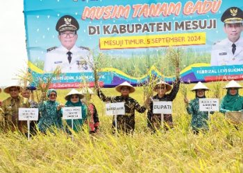 Pj. Gubernur Samsudin Panen Raya Padi Musim Tanam Gadu di Mesuji