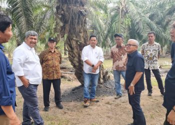 Kunjungan Dekom PTPN IV Bangkitkan Semangat Regional 7 Tingkatkan Protas