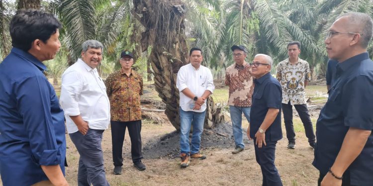 Kunjungan Dekom PTPN IV Bangkitkan Semangat Regional 7 Tingkatkan Protas