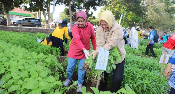 Panen Raya Sayuran Organik Meriahkan Dies Natalis ke-59 Unila