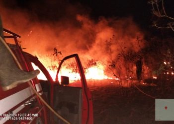 350 Hektar Lahan Hingga Satwa di TN Way Kambas Terbakar
