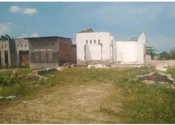 PT. NDP Optimis Pembersihan Areal Selesai Akhir 2024