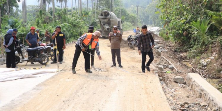 Pemprov Lampung Lakukan Perbaikan Jalan dan Jembatan di Wilayah Tanggamus