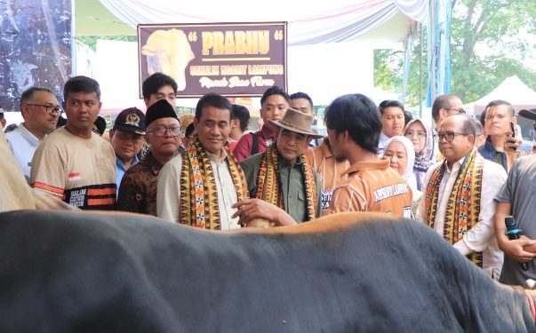 Kontes dan Expo Sapi APPSI 2024, Pj. Gubernur Lampung Wujudkan Ketahanan Pangan Nasional