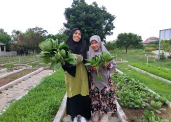 Wisata Perkotaan Populer Agro Park Lampung