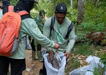 Kebun Raya Itera Tambah 100 Koleksi Tumbuhan Langka Hasil Eksplorasi Taman Nasional Kerinci Seblat