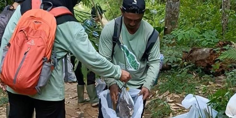 Kebun Raya Itera Tambah 100 Koleksi Tumbuhan Langka Hasil Eksplorasi Taman Nasional Kerinci Seblat