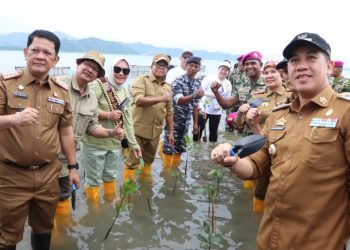 Pj Gubernur Lampung Tanam Mangrove Bersama Brigif 4 Marinir dan Mitra