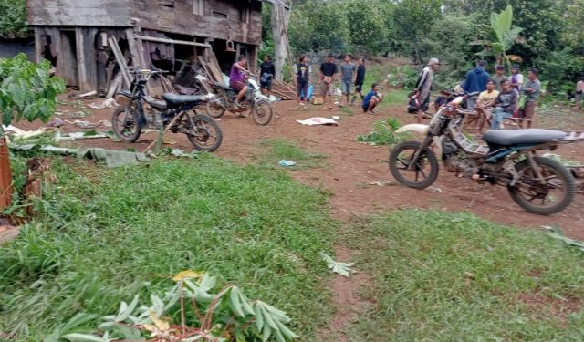 Kawanan Gajah Liar Mengamuk di Tanggamus, Satu Petani Tewas