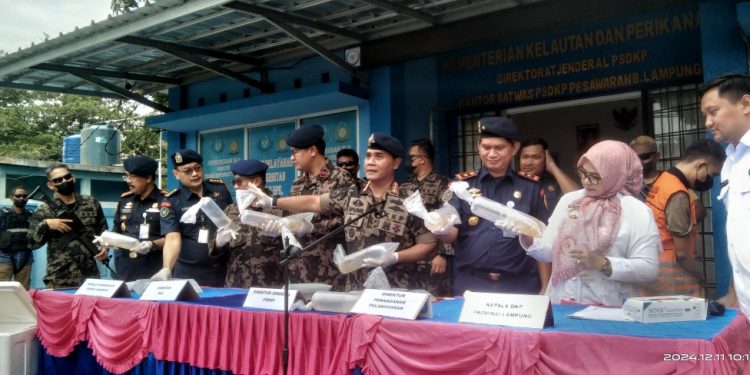 KKP Gagalkan Penyeludupan Benih Lobster di Lampung Senilai 7,8 Miliar