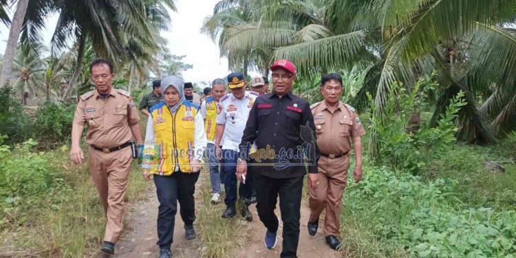 Wakil Bupati Pesibar A. Zulqoini Syarif Sambut Reses Anggota DPR -RI Mukhlis Basri