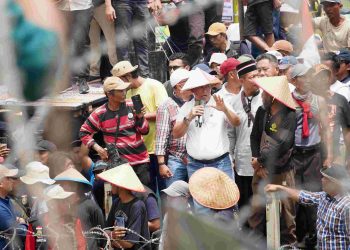 Pj. Gubernur LampungTerbitkan Surat Edaran Bela Kesejahteraan Petani Dan Keberlanjutan Industri Ubi Kayu