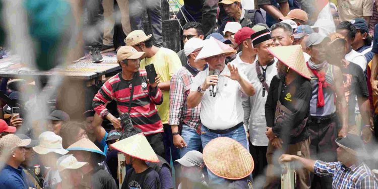 Pj. Gubernur LampungTerbitkan Surat Edaran Bela Kesejahteraan Petani Dan Keberlanjutan Industri Ubi Kayu