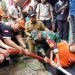 Pj. Gubernur  dan Gubernur Lampung Terpilih Respon Cepat Tangani Bencana Banjir