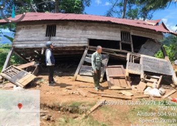Sinergi Atasi Konflik Gajah-Manusia, KPH Kota Agung Bersama Warga Halau Kawanan Gajah Masuk TNBBS