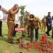 Jaga Keseimbangan, Pj. Gubernur Lampung Tanam Pohon di Ruas Tol Bakauheni-Terbanggi Besar