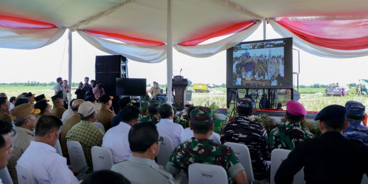 Tahun 2025, Pemprov Lampung Proyeksi Lonjakan Produksi Padi Tembus 3.5 Juta Ton