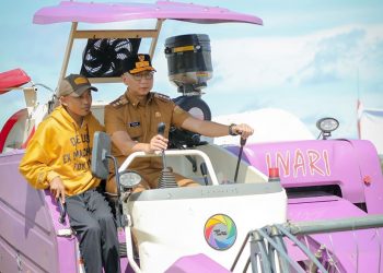 Gubernur Mirza Ikuti Panen Raya Padi Serentak di 14 Provinsi secara Nasional