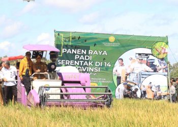 Petani Lampung Sambut Gembira Panen Raya, Pemerintah Pastikan Harga Gabah Menguntungkan