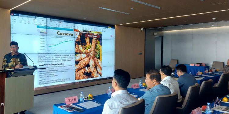 Lampung Gandeng Shandong, Pertanian Canggih Siap Dongkrak Hasil Panen 30%