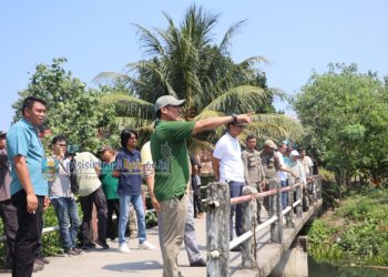 Bupati Dedi Irawan Tinjau Sungai Way Nipah, Prioritaskan Normalisasi