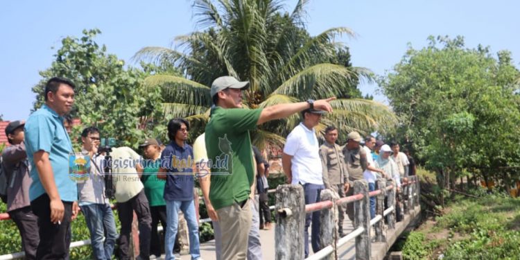 Bupati Dedi Irawan Tinjau Sungai Way Nipah, Prioritaskan Normalisasi