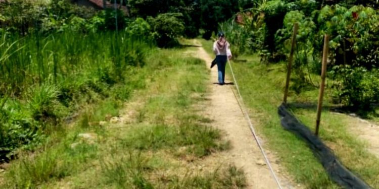 Pemprov Lampung Genjot Infrastruktur Jalan dan Layanan Publik Dukung Pertumbuhan Ekonomi Lokal