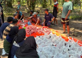 Ikam Lamtim Salurkan 11 Hewan Kurban di Dusun 5 Kedung Rejo