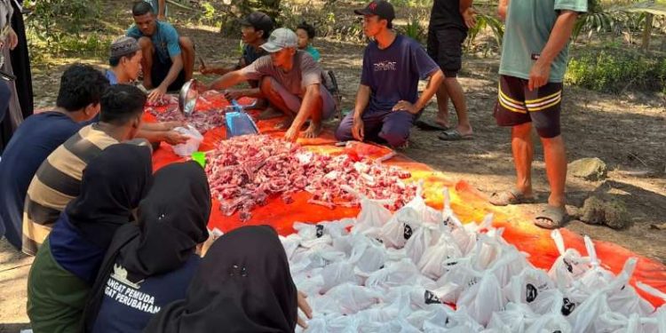 Ikam Lamtim Salurkan 11 Hewan Kurban di Dusun 5 Kedung Rejo