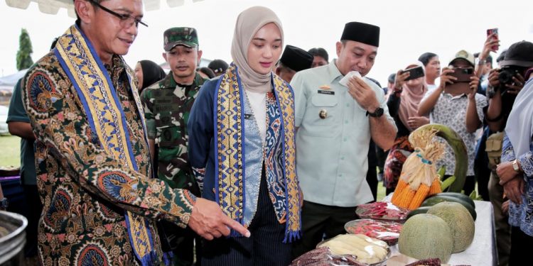 Pemerintah Apresiasi Langkah Konkret Gubernur Lampung Bangun Ekonomi Desa dari Akar