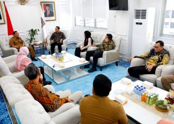 KPI Dorong Revisi UU Pemda Demi Perkuat Kelembagaan KPID