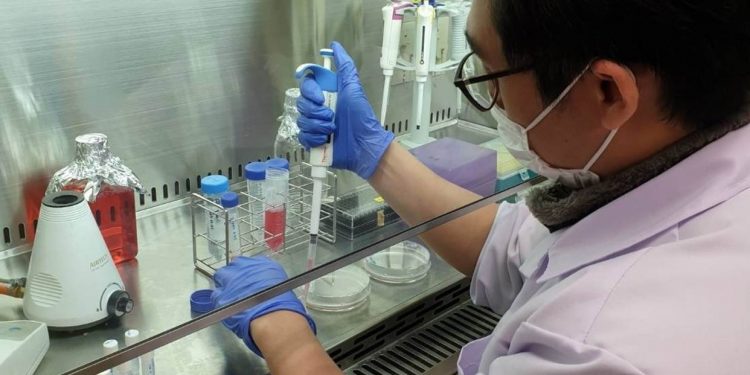 Dosen Kimia Itera Teliti Senyawa Fenolik Tumbuhan Murbei sebagai Kandidat Antikanker Serviks