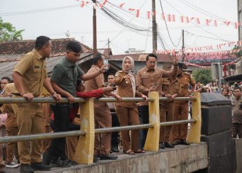 Pemprov Lampung Turun Tangan Atasi Pencemaran Limbah Kulit Bawang di Pasir Gintung