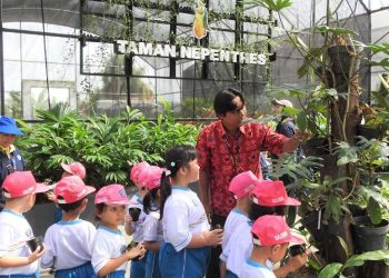 Kebun Raya Itera Raih Dukungan Internasional dalam Pelestarian Kantong Semar