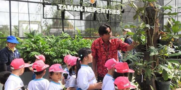 Kebun Raya Itera Raih Dukungan Internasional dalam Pelestarian Kantong Semar